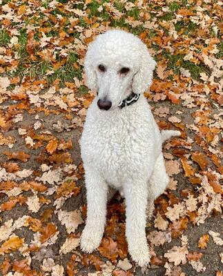 WhatsApp Image 2025-11-17 at 07.24.08